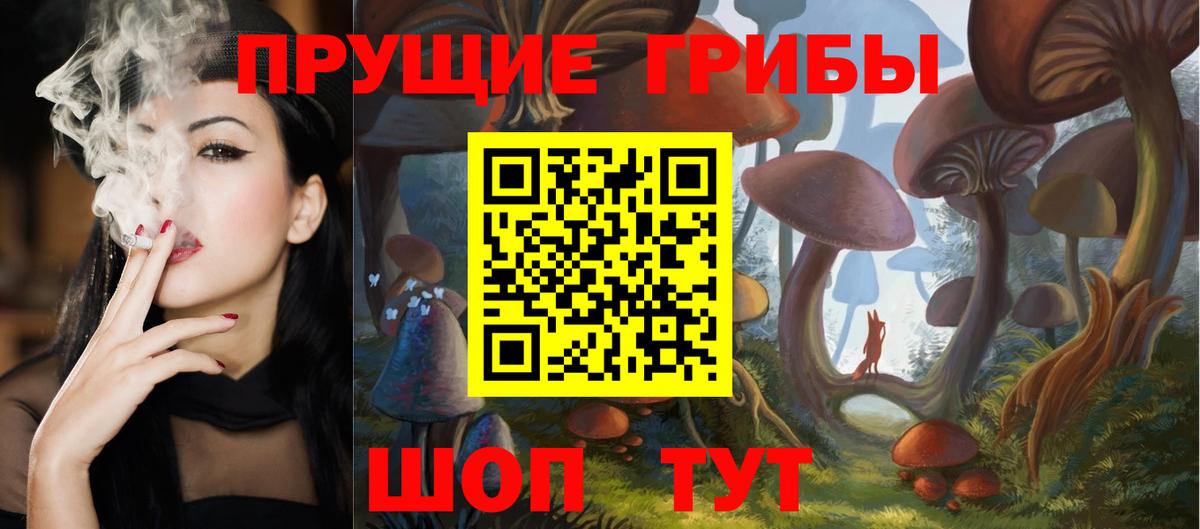 Псилоцибиновые грибы MAGIC MUSHROOMS Сафоново